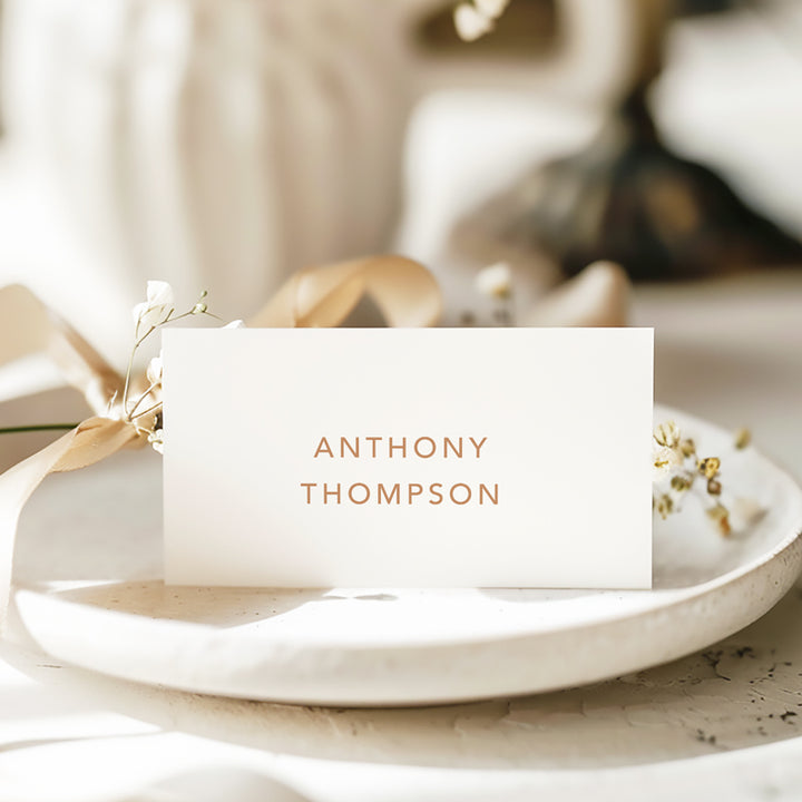Modern minimal wedding place cards in cinnamon and white colours, folded tent card style, design and printed in Australia.