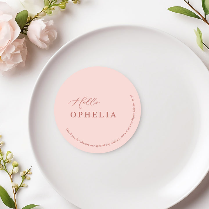 Calligraphy wedding or Baptism place cards or name cards with hello and the guest name in pink. Round or circle shape.Peach Perfect.