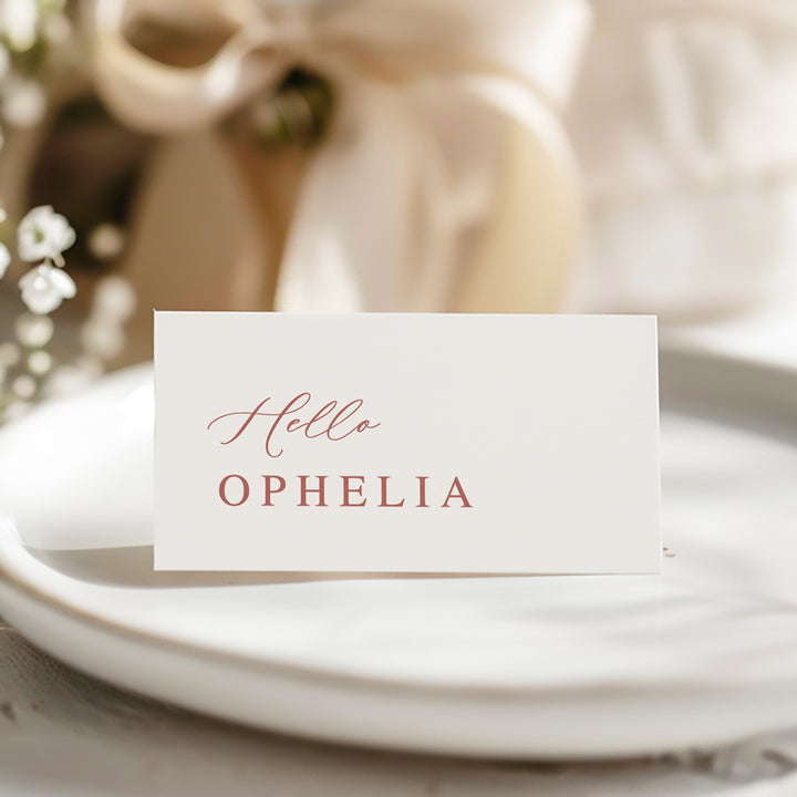 Beautiful pink and white wedding place cards, folded tent card style with Hello and guest name.
